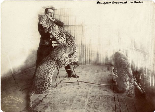 Le dompteur d'animaux sauvages Emmanuel Goussé de la ménagerie Pezon - 1907 - photo Deconcloit